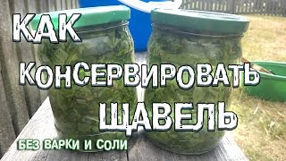 Как консервировать щавель на зиму без соли и варки | Самый простой рецепт