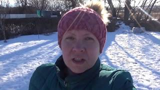 VLOG. Cдала или нет? Птичий двор. Жизнь в деревне. Семья Теклиных.