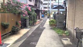 Urban green space in Japan