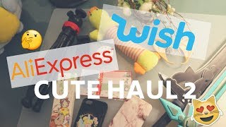 CUTE ALIEXPRESS AND WISH HAUL 2  +LINKS