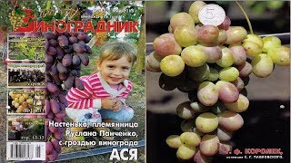 Мой Виноградник  № 5 Май 2016г