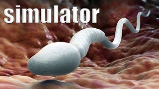 SPERM SIMULATOR 2016! - How Babies Are Made