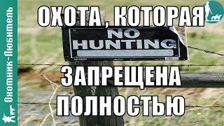 Охота, которая полностью запрещена в России! На кого?