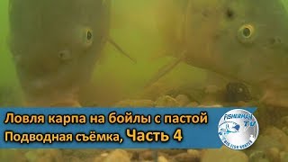 Ловля карпа на бойлы с пастой. Подводная съёмка, Часть 4 (1080p)