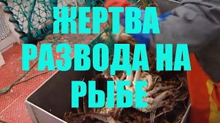 РАБОТА В НОРВЕГИИ: МОШЕННИКИ - Обман при трудоустройстве заграницу. Норвегия, кидалово