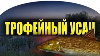 ТРОФЕЙНЫЙ УСАЧ НА ПВА ● РОЗЫГРЫШ ● Русская Рыбалка 4