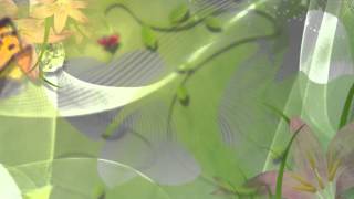 Фон для видеомонтажа Summer Abstraction HD Video Background