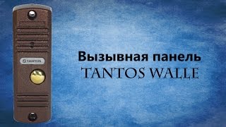 Панель для домофона Walle