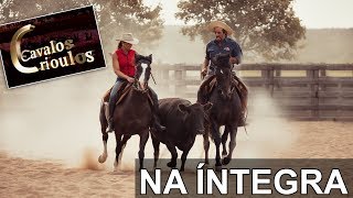 Programa Cavalos Crioulos DIA 06/05/2018