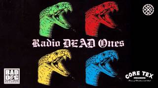 RADIO DEAD ONES - NEW RELIGION - ALBUM: RADIO DEAD ONES - TRACK 08