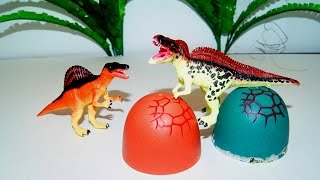 Крутые яйца. Динозавры. Игрушки видео. Мультик для детей