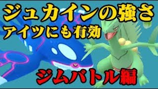 【ポケモンGO】ジュカインでジムバトル！カイオーガ対策ポケモン