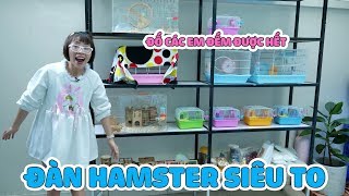 Gia Tài Hamster Của Chị Thơ Nguyễn