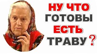 Е Зайцева ВЫ СКОРО ВСЕ ТРАВУ ЕСТЬ БУДЕТЕ!