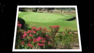 Panama City Entertainment - Things To Do in Panama City, FL
