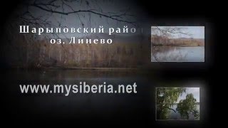 Шарыповский район оз. Линево