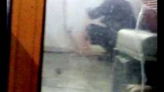 فضيحة مطعم حراء