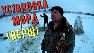 УСТАНОВКА МОРД/ЛОВЛЯ НА ВЕРШИ(МОРДЫ)/Catching on the tops (muzzles)
