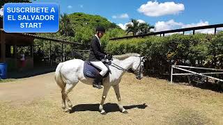 NIÑOS CON SÍNDROME DOWN SE NIEGAN A RENDIRSE Y PARTICIPAN EN COMPETENCIA ESPECIAL