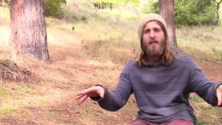 Restoring the Nervous System with Herbal Medicines