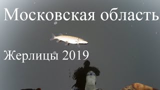 Жерлицы на щуку 2019. Московская область.