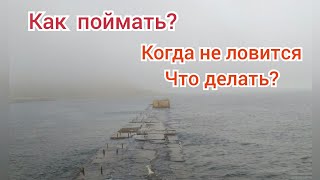 Интересная рыбалка.Как поймать на море когда не ловится.