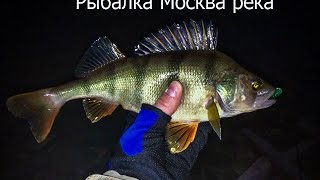 Рыбалка Москва река