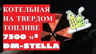 Котельная на твердом топливе, 7500 кв.м (детальный обзор) DM-STELLA (2017)