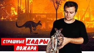 Пожары Австралии: Редкие Ужасающие Кадры//ПАРАЗОМБ #8