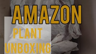 Costa Farms Amazon Unboxing