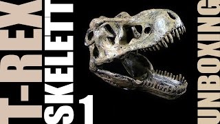 Edu-Toys ® - Tyrannosaurus Rex Skelett / T-Rex Skeleton - Unboxing Teil 1 / Re-Upload