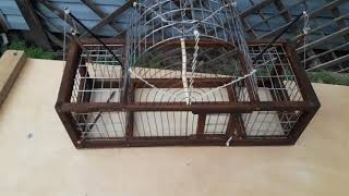 Западок или клетка ловушка для певчих из оцинкованной сетки часть-3.
