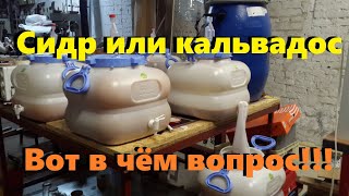 Яблочный сидр. Яблочная брага для самогона
