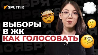 Так в Кыргызстане еще не голосовали! Объясняем, что будет 28 ноября