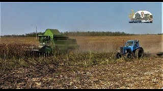 Все тракторы и комбайн в поле на уборке подсолнухи!Мтз 82,Дт-75,Мтз1025,John Deere и Case 210