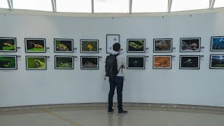 MY PHOTO IN AN EXHIBITION | DCP Expeditions' Photography Exhibition Vlog | Sonika Agarwal
