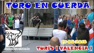 BOUS AL CARRER - TURÍS (V) 2018 - TORO EN CUERDA DE ALBERTO GRANCHEL 16-6-2018