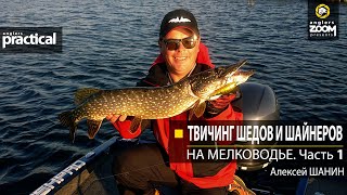 Твичинг шедов и шайнеров на мелководье. Алексей Шанин. Часть 1