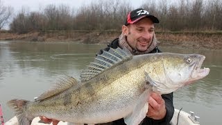 BIG ZANDER 20 LBS IN VERTICAL FISHING by CATFISHING WORLD