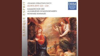 Lobet den Herrn, alle Heiden, BWV 230: Hallelujah