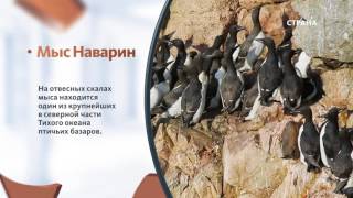 Чукотский Автономный округ | Регионы | Телеканал "Страна"