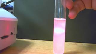 Solution Colloid and Suspension video lab
