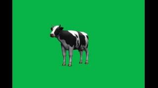 Cow Green Screen Effect / Green Screen Cow.