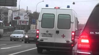 Баре_едут_2012-04-12_08-29