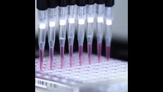 Как спастись от COVID-19 без прививок и масок?