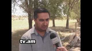 Lraber Qarakert  TIM yntrutyunner  h2 tv channel