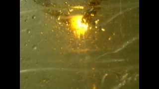 Водяные электроды Water electrodes