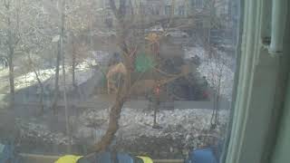 Настенный фаллос распустился по весне! И дворник-блогер тоже во дворе. Жизнь продолжается!