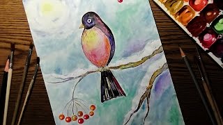 Рисуем Акварелью. "Снегирь" / Bullfinch. Watercolor Painting.