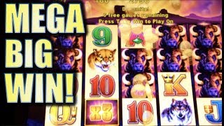 ★MEGA BIG WIN! ? ?★ MY BIGGEST BUFFALO WIN TO DATE! (Aristocrat) Slot Machine Bonus